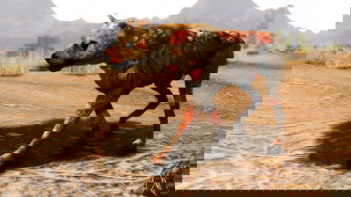 68803-1588566919-869315151
