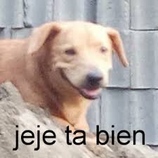 images (1)