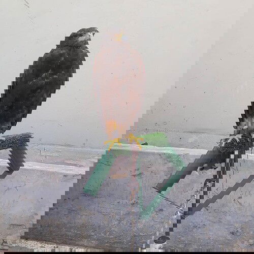 20210313_002231