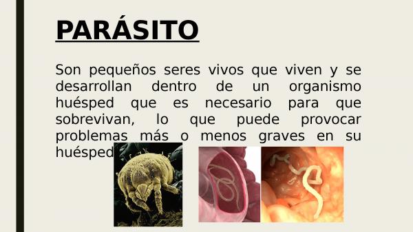 que_es_un_parasito_4173_0_600