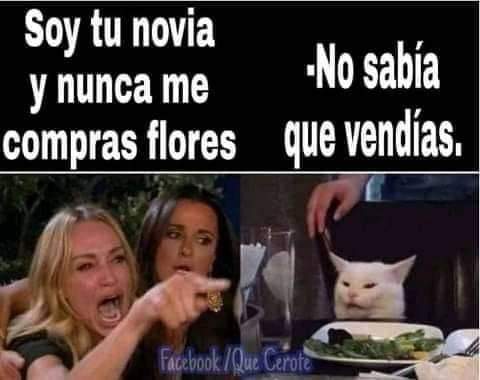 FB_IMG_1600062647529