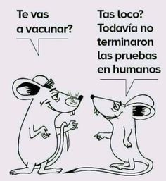 rats