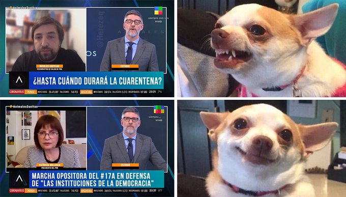 EfRTQlUX0AA0InS