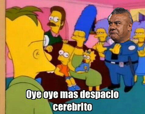 tapiasimio