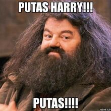 Hagrid6