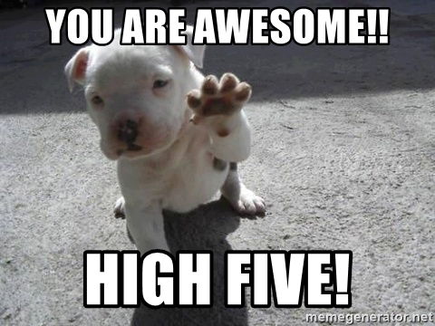 you-are-awesome-high-five