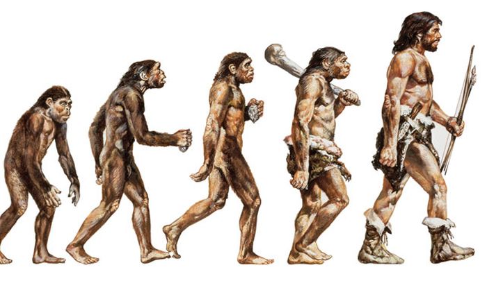 evolucion