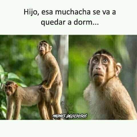 FB_IMG_1599416331903