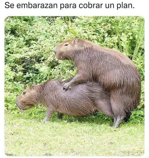 FB_IMG_1629589249406