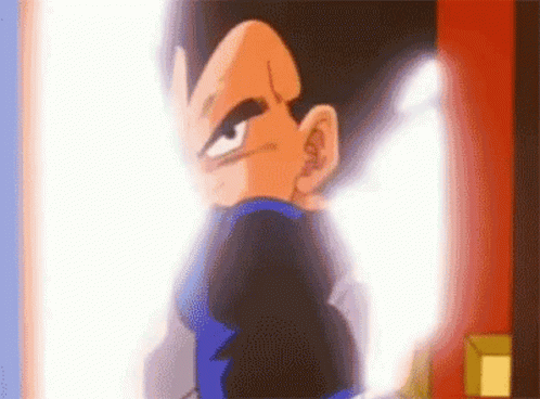 VegetaTimeChamberGIF
