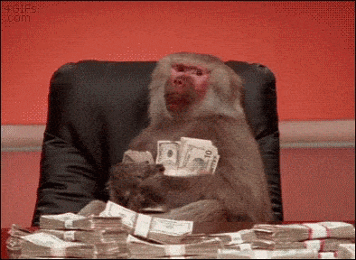 money-gif-4