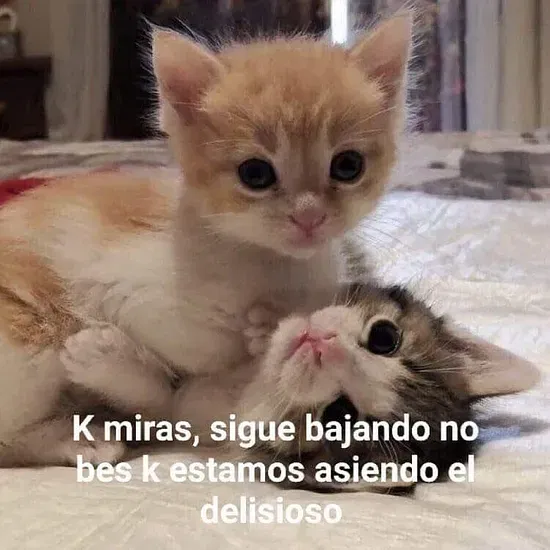 48791ce528fedac656c0a223472bf871