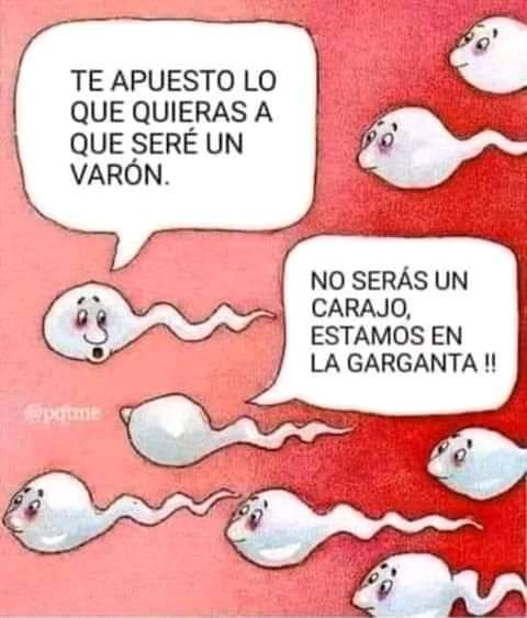 FB_IMG_1731089236197