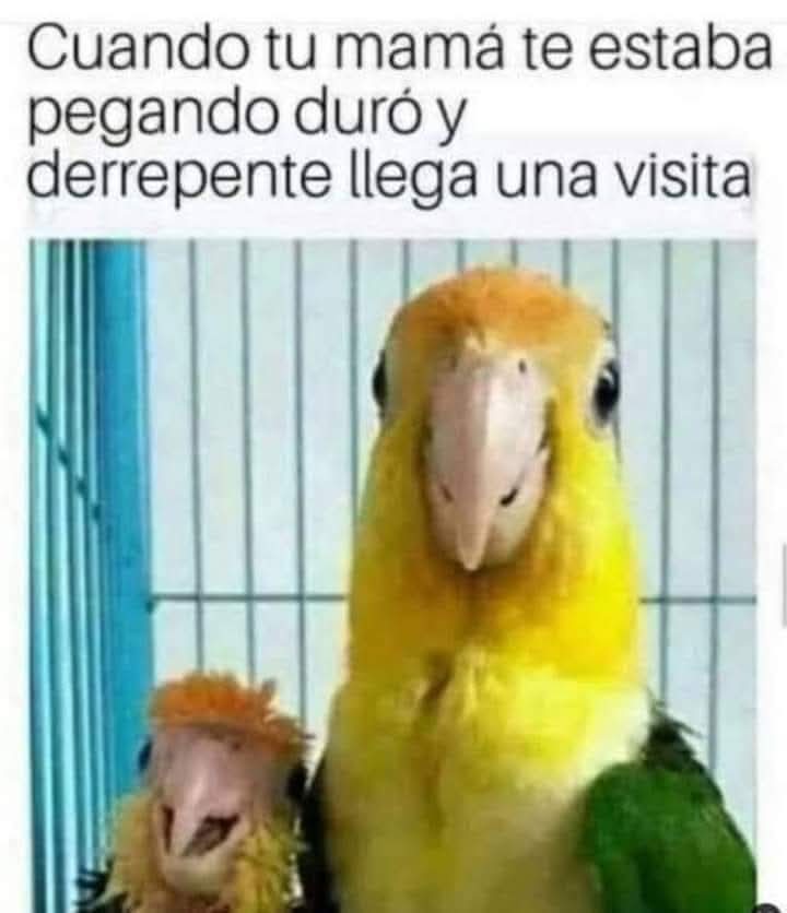 FB_IMG_1734786801974
