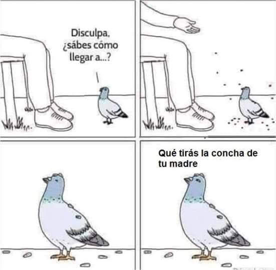 GVy6nw0WwAEVXXo