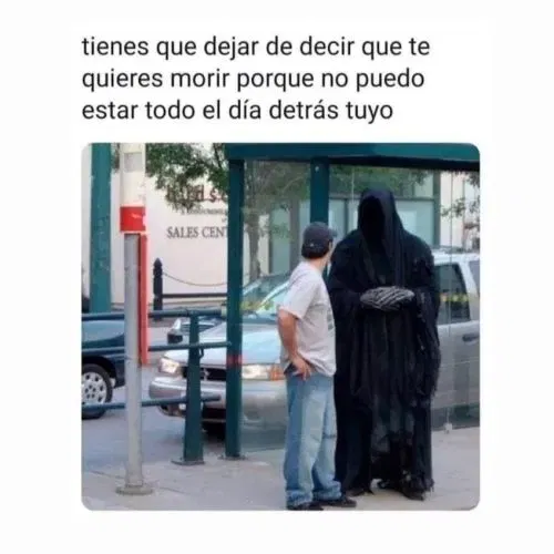 d50b3d8a738c74ee0fc8ba638b8d42e5