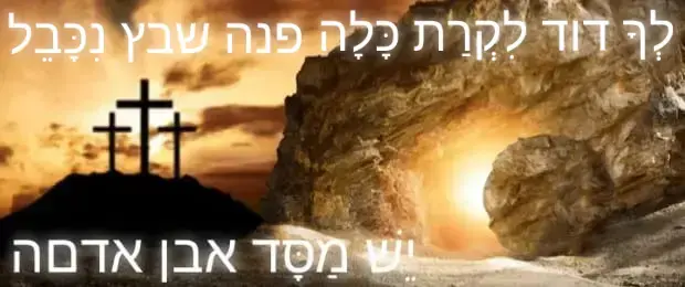 5e23f00b52889ffc51b63126cbdd7ee4