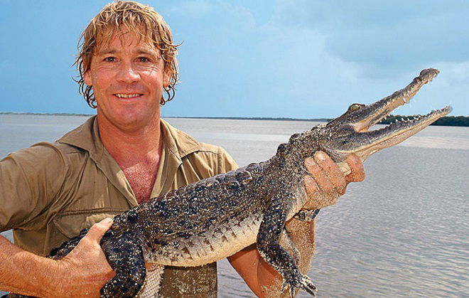 Steve_Irwin