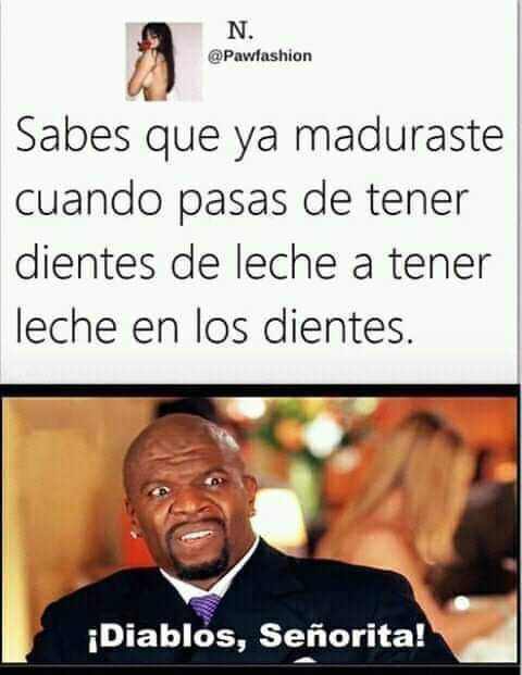 FB_IMG_1727107582708