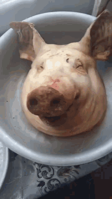 cerdito