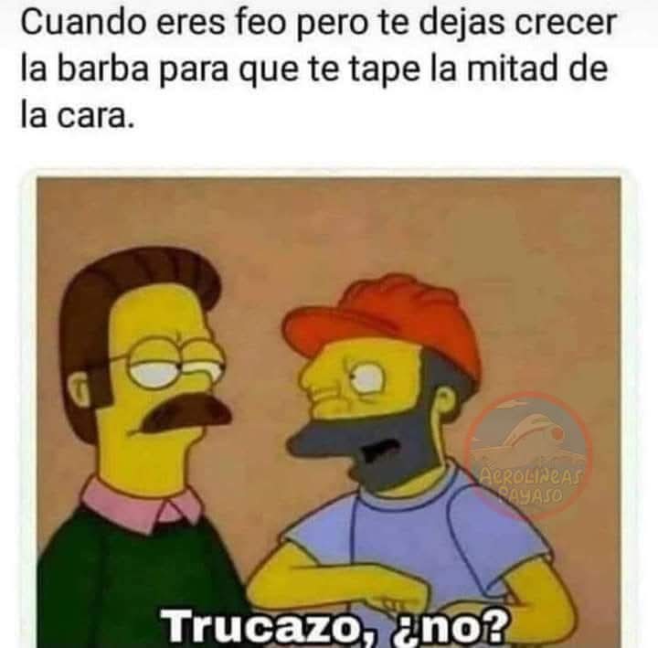 FB_IMG_1748919827651