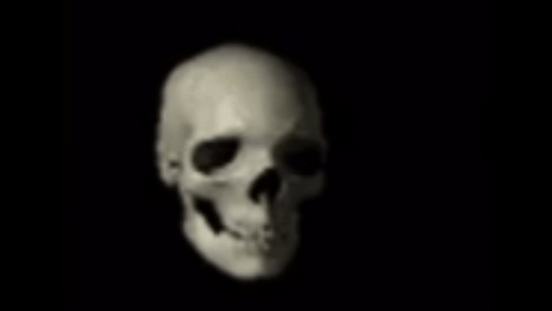 SpinningSkullSkullSpinningGIF