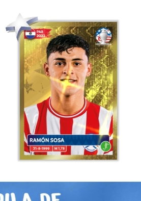 Screenshot_20240513_023034_Panini Collection