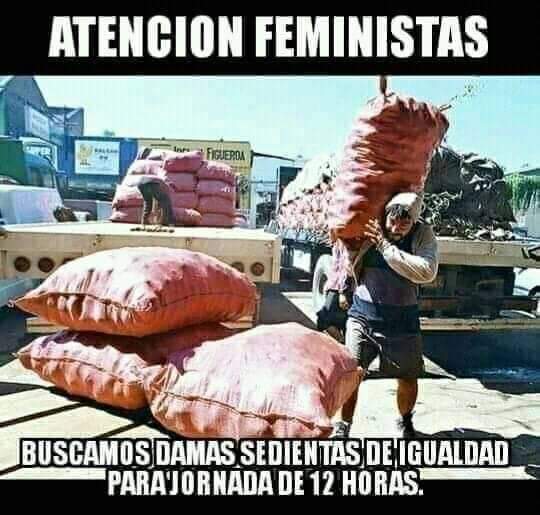FB_IMG_1566015347588