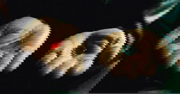 17358713302066958286510571494958