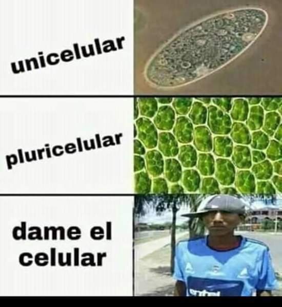 FB_IMG_1701435138347